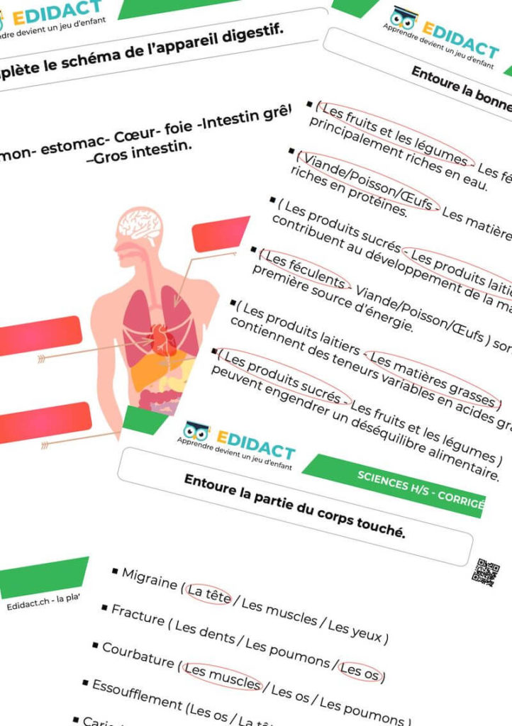 exercices-fiches-pdf-sciences